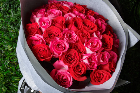 Mr Roses